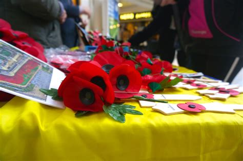 See Poppies at Tower of London Date Extended