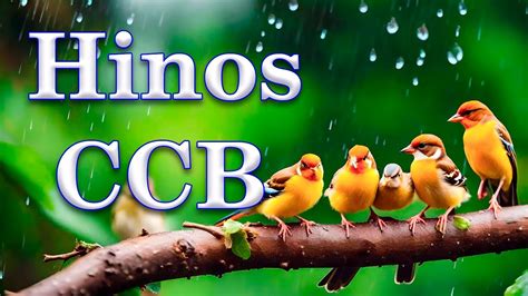 HINOS CCB - Belíssimos Hinos Hinário 5 Cantados CCB - Congregação ...