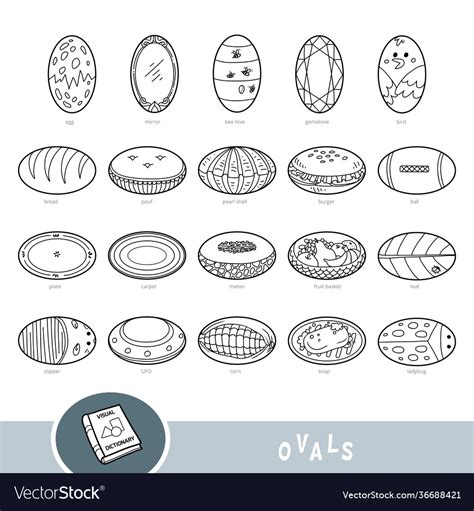 Black and white set oval shape objects visual Vector Image