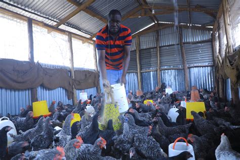 Sustaining Livelihoods through Poultry Farming in Northern Kenya - ACDI ...