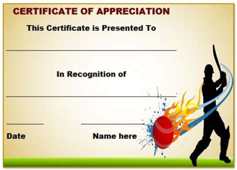 22 Well-designed Cricket Certificate Templates : Free Word Templates ...