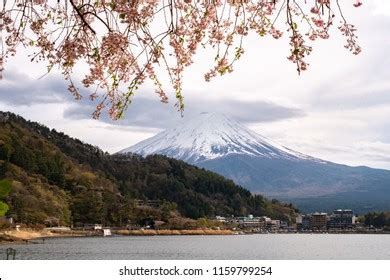 Mt Fuji Cherry Blossom Lake Kawaguchiko Stock Photo 1159799254 ...