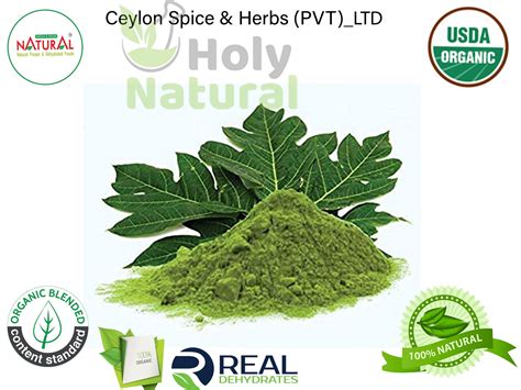 Papaya Leaf Organic Papaya Leaf Extract Powder Freshly | Etsy