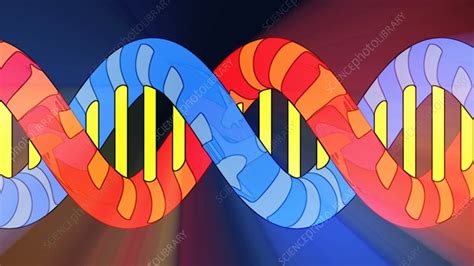 DNA molecule, animation - Stock Video Clip - K008/8250 - Science Photo ...