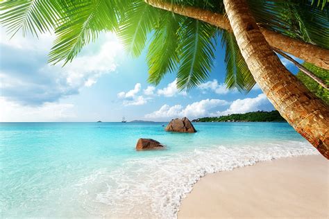 Paradise ocean tropical blue palm beach coast sea emerald, Relaxing ...