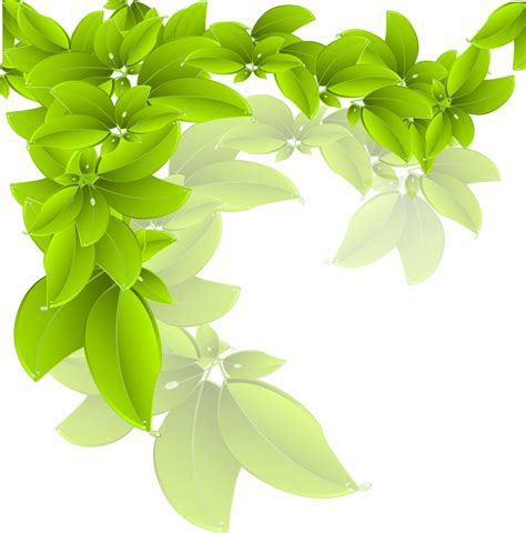 Branch Green Leaf - Vector leaves png download - 1344*1363 - Free ...