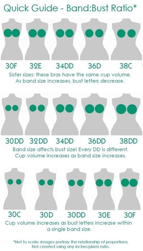 Quick Guide Band:Bust Ratio* Sister sizes: these bras have the same cup ...