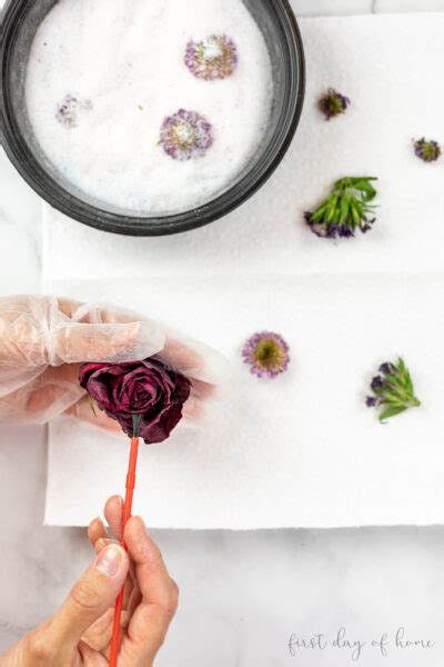 How to Use Silica Gel for Drying Flowers: Complete Guide