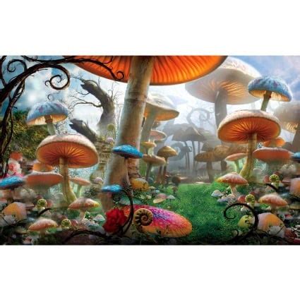 Mushroom Alice In Wonderland Quotes. QuotesGram