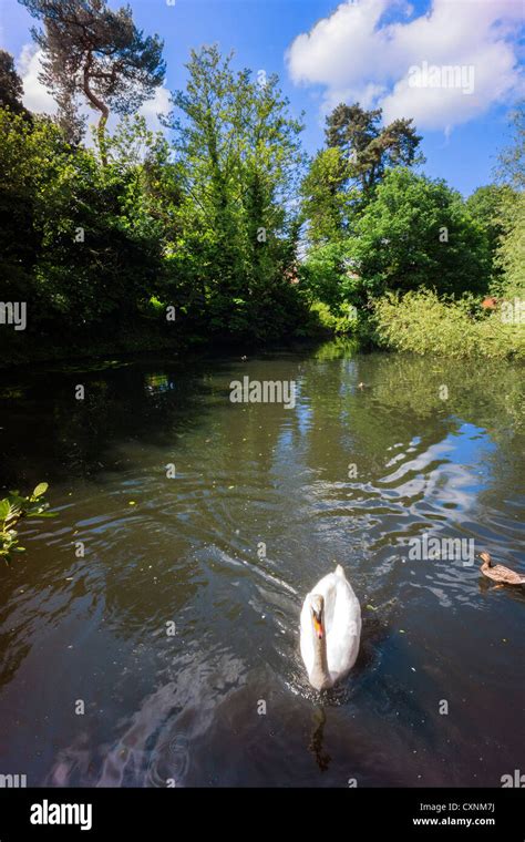 a wetlands conservation area and nature reserve Stock Photo - Alamy