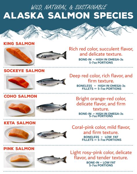 The Five Wild Alaskan Salmon Species – Wild For Salmon