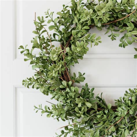 Serenity Boxwood Wreath | Magnolia