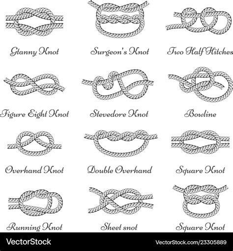 Nautical decorative rope knots set with names Vector Image