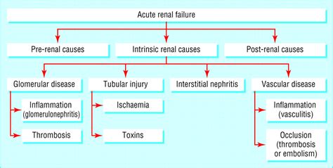 Acute renal failure | The BMJ