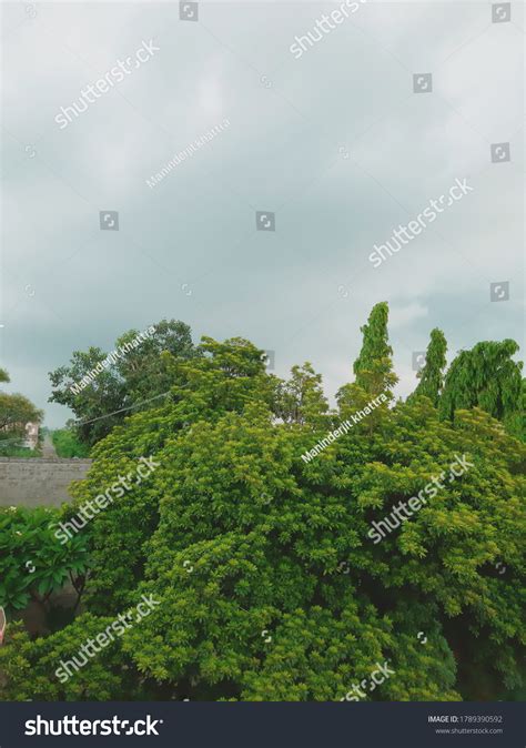 Cloudy Sky Beautiful Green Trees Stock Photo 1789390592 | Shutterstock