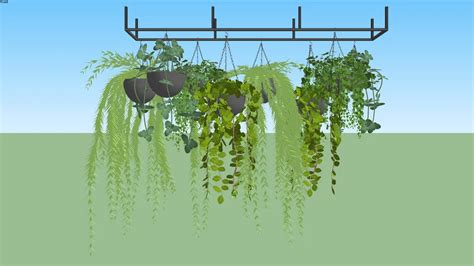 Vegetação pendente | 3D Warehouse in 2024 | Hanging plants, Concept ...