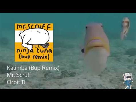 Mr. Scruff - Kalimba (Bup Remix) - YouTube