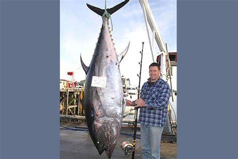 Bluefin - Pacific Bluefin Tuna a Possible World Record!