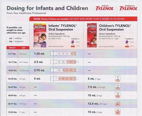 Infant Tylenol Dosing Chart By Weight | amulette