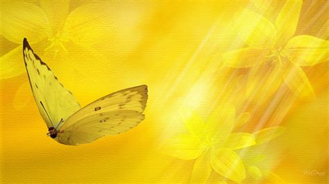 Yellow Butterfly Wallpapers - Wallpaper Cave