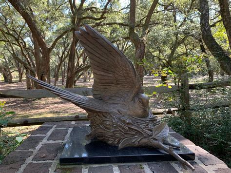 Mourning Dove by Bob Guelich. Located in the Lowcountry Zoo. # ...