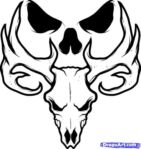 Deer Outline Drawing at GetDrawings | Free download