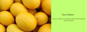 Sun Melon – Health Benefits, Uses and Important Facts - PotsandPans India