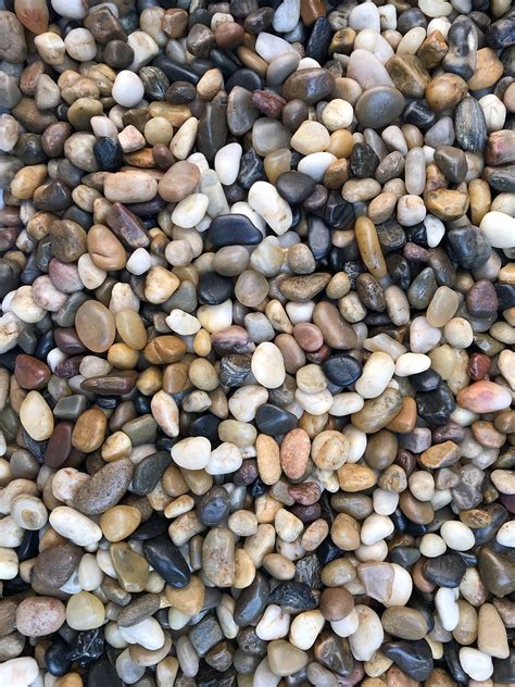 Thiết kế ngoại thất decorative pebbles Tạo điểm nhấn đẹp cho sân vườn ...