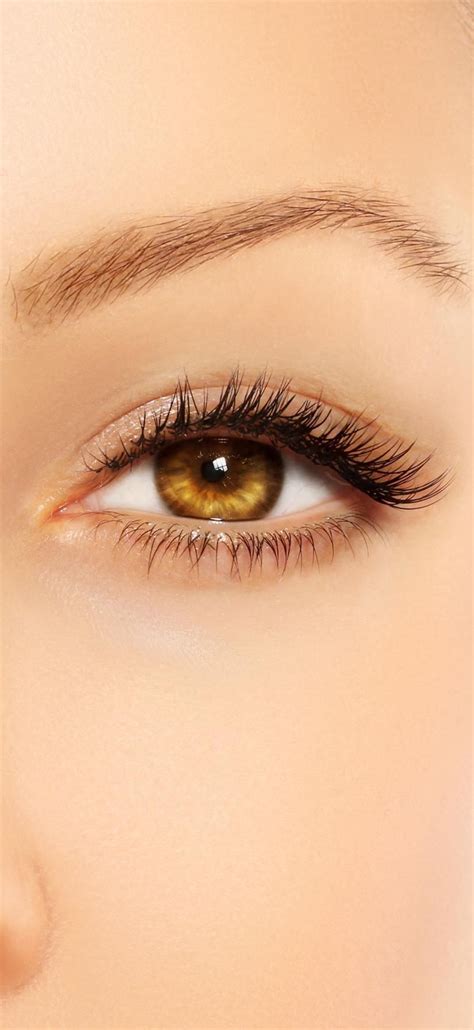 Hazel Eyes - Contact Lenses UK | Buy Online | Hazel eye contacts, Hazel ...