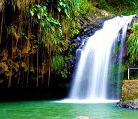 Grenada Waterfalls – Spiceislander.com