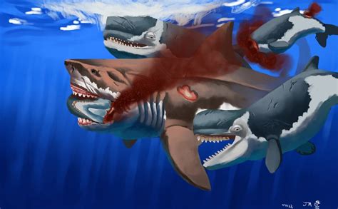 Megalodon confronting a leviathan. : r/Naturewasmetal