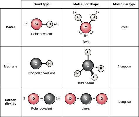 difference between polar and non polar - Overview, Structure ...