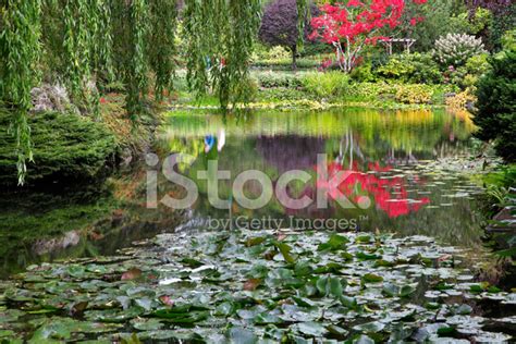 Silent Pond. Stock Photo | Royalty-Free | FreeImages