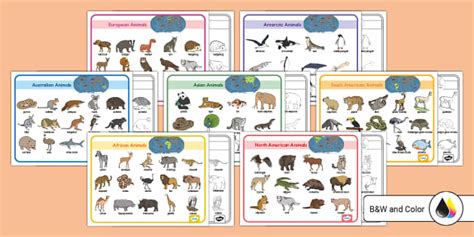 Animals of the Seven Continents Word Mat Pack - Twinkl