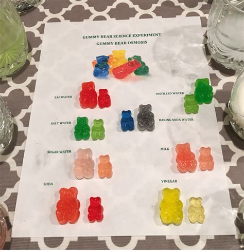 Diy gummy bear osmosis lab experiment – Artofit