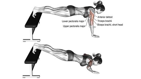 Push-Ups: How-To, Muscle Worked, Benefit, Variations