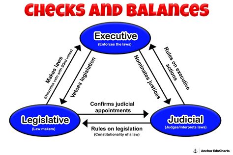 Checks And Balances Chart