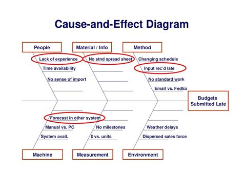 Cause and effect diagram software development - donglow