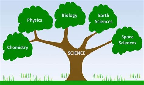 Branches of Physics