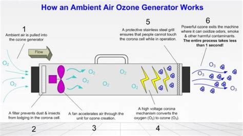 Air Ionizer vs Air Purifier: The Difference Explained