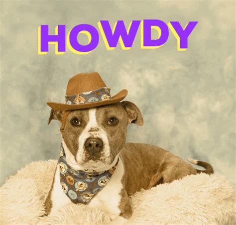 Howdie GIFs - Get the best GIF on GIPHY