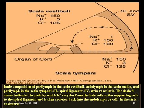 INTRODUCTORY LECTURE ON THE PHYSIOLOGY OF AUDITION BY