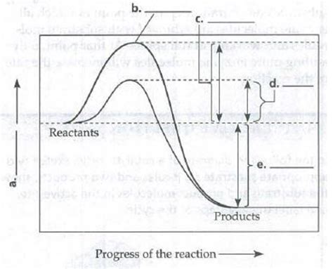 In the following graph of an exergonic reaction with and without an ...