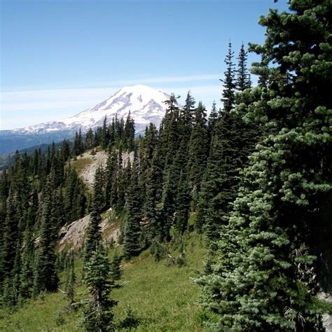 White Pass to Chinook Pass — Washington Trails Association