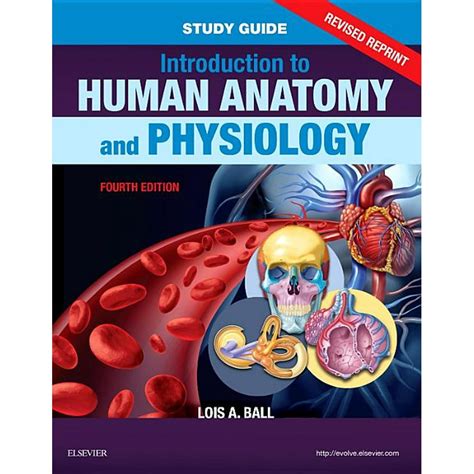 Study Guide for Introduction to Human Anatomy and Physiology - Revised ...