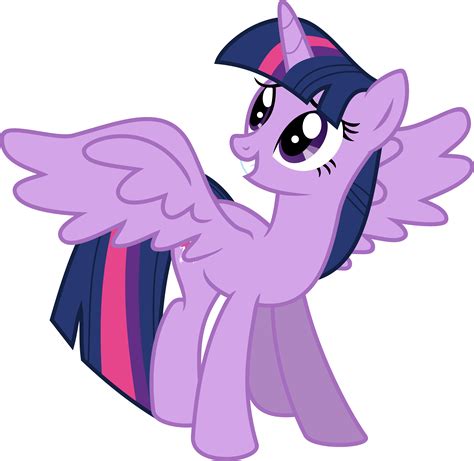 Twilight Sparkle Alicorn Vector by Kamyk962 on DeviantArt