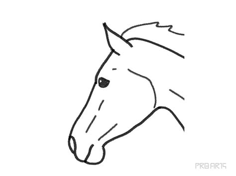 Easy Horse Head Drawing Tutorial - PRB ARTS