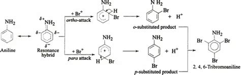 Synthesis of 2, 4, 6-tribromoaniline from aniline - Labmonk