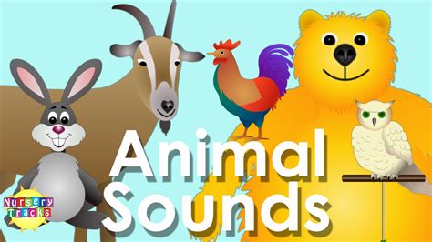 Best Animal Sounds Song Part 2 | Animal sounds, Sound song, Animals