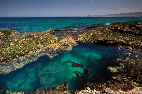 Things To Do: Santa Rosa Island - Channel Islands National Park (U.S ...